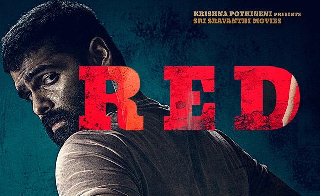Energetic Star Ram Pothineni Fans setup a phenomenal Birthday Record this Year!