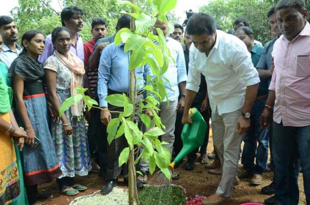 KTR,Haritha Haram in Sircilla