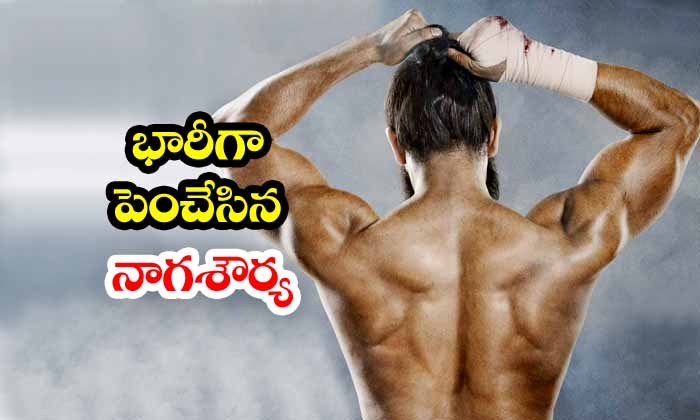 Magnificent Pre-look Of Naga Shaurya