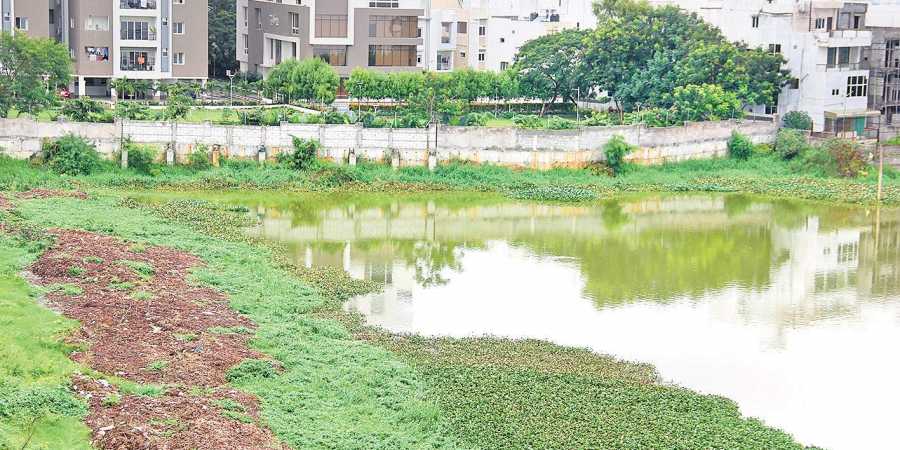 Nine lakes to be beautified in Kukatpally