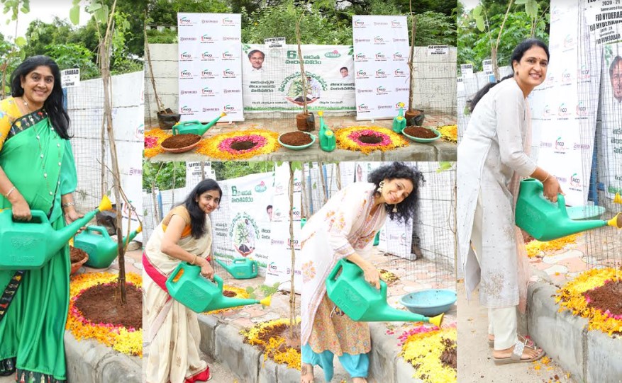 FLO members plant saplings