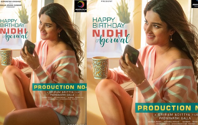 Nidhi Agerwal,Ashok Galla,Sriram Adittya